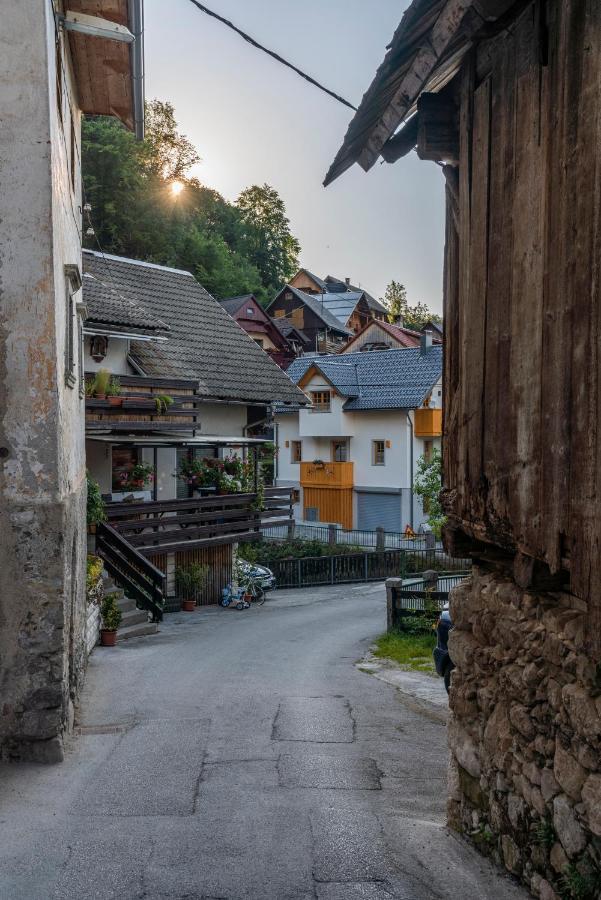 Holiday House Zupanc Bohinj Luaran gambar